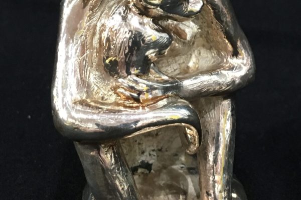 Afri Silver Monkey Mother and Baby