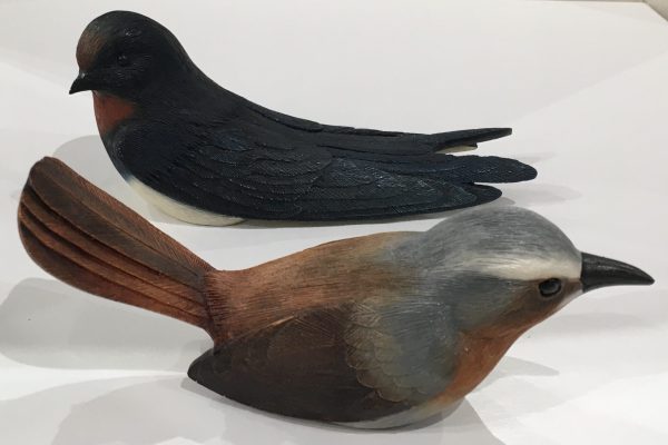 Feathers of Knysna, Cape Robin and European Swallow