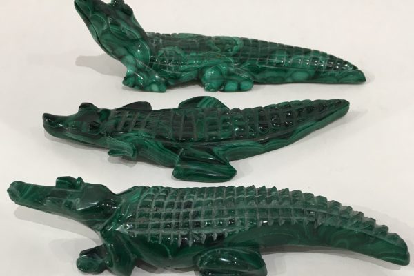 Malachite Crocodiles
